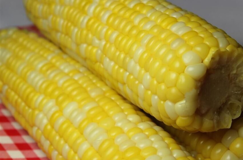 Delicious and Easy Corn on the Cob Recipe